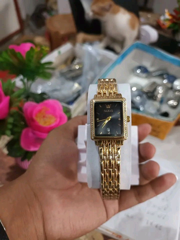 OLEVS Square Luxury Edition Women’s Watch